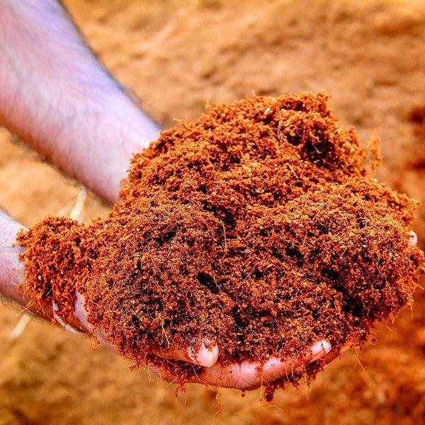 cocopeat soil mix for indoor plants