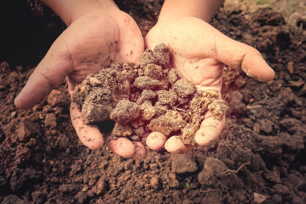 Garden Soil providing stability to plants