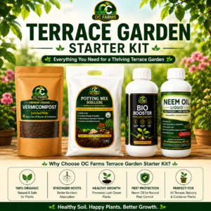 Terrace garden starter kit