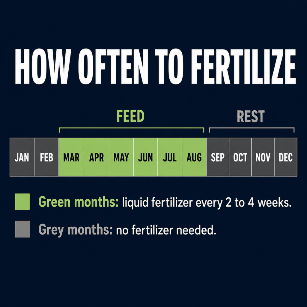 A fertilizing frequency calendar showing spring and summer months highlighted for feeding and autumn and winter months marked as rest period