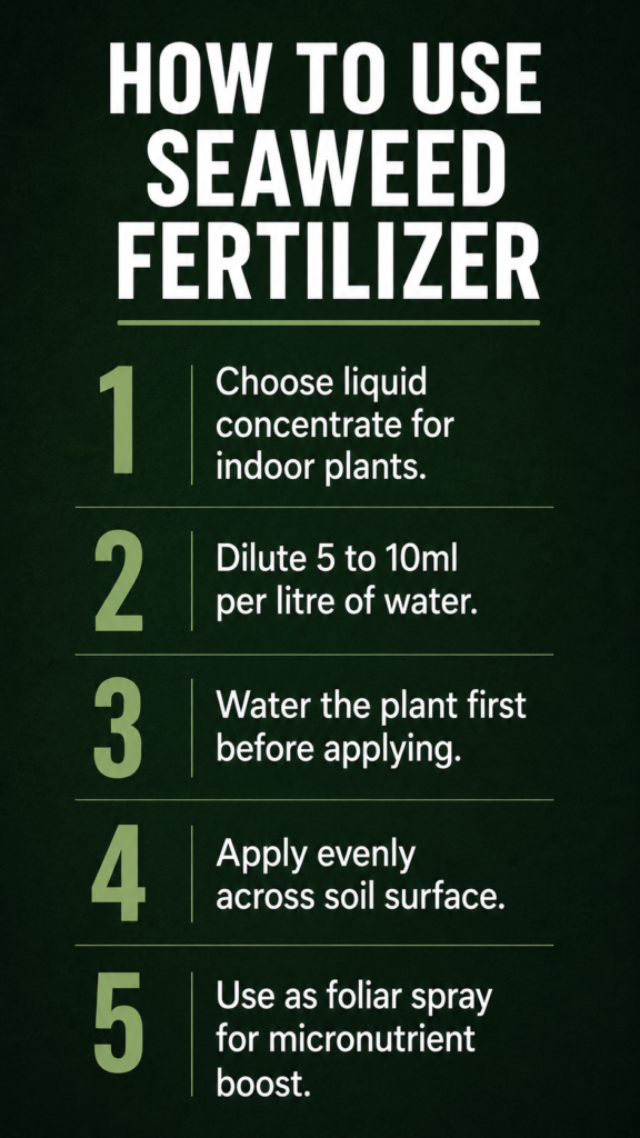 Step by step infographic showing five steps for correctly using seaweed liquid fertilizer on indoor plants