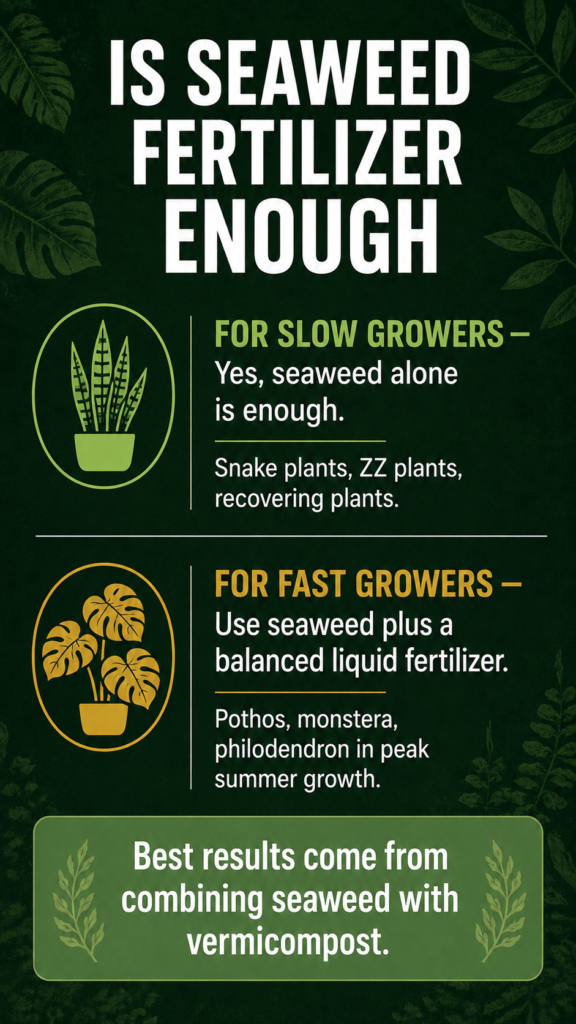 Infographic explaining when seaweed fertilizer alone is enough versus when to combine it with other fertilizers for indoor plants